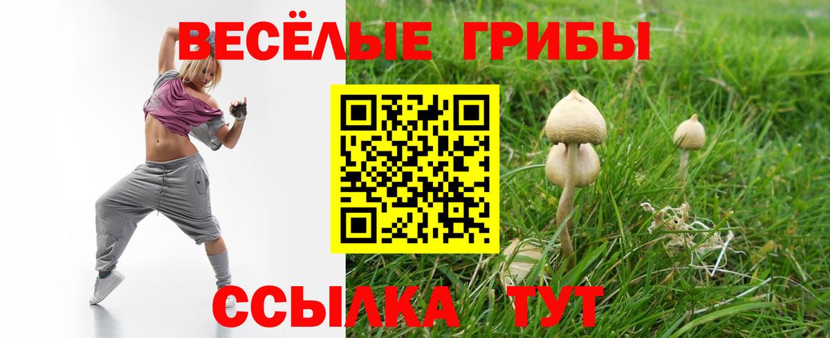Азов  где продают наркотики  Вход с VPN  Псилоцибиновые грибы мицелий 